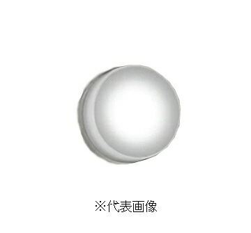 オーデリック OG254819R 軒下用シーリングライト 非調光タイプ 白熱灯60W相当昼白色 オフホワイト