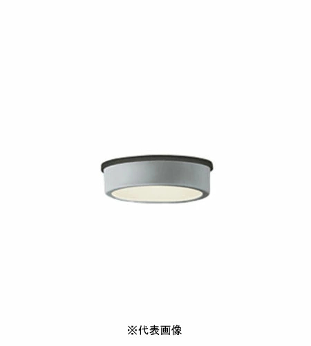 オーデリック OG254532 軒下用シーリングダウンライト 非調光タイプ 白熱灯60W相当電球色 マットシルバー