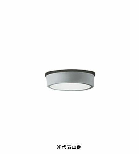 オーデリック OG254531 軒下用シーリングダウンライト 非調光タイプ 白熱灯60W相当昼白色 マットシルバー