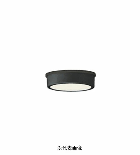 オーデリック OG254530 軒下用シーリングダウンライト 非調光タイプ 白熱灯60W相当電球色 ブラック
