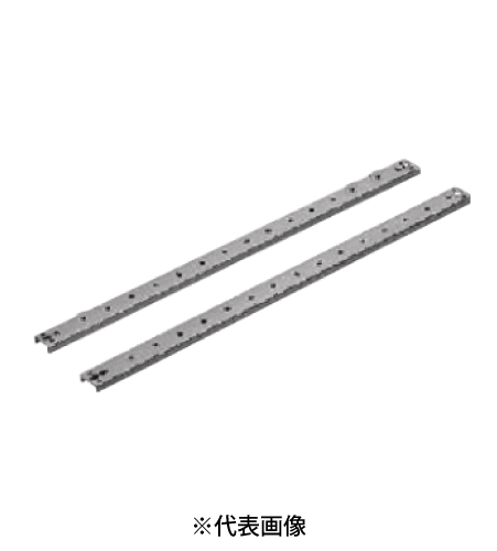 日東工業 BP21-3C 盤用キャビネット パネル用レール タテ寸300mmキャビネット用 レール2本 パネル取付ねじ