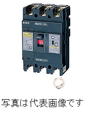 日東工業 GE103NA 3P 100A F100 分散型電源システム用 単3中性線欠相保護付漏電ブレーカ