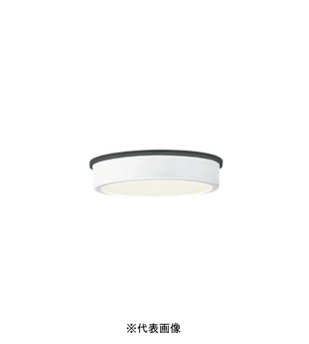 オーデリック OG254516R 軒下用シーリングライト 防雨型 白熱灯100W相当 電球色 オフホワイト