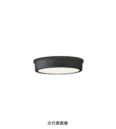 オーデリック OG254518R 軒下用シーリングライト 防雨型 白熱灯100W相当 電球色 ブラック