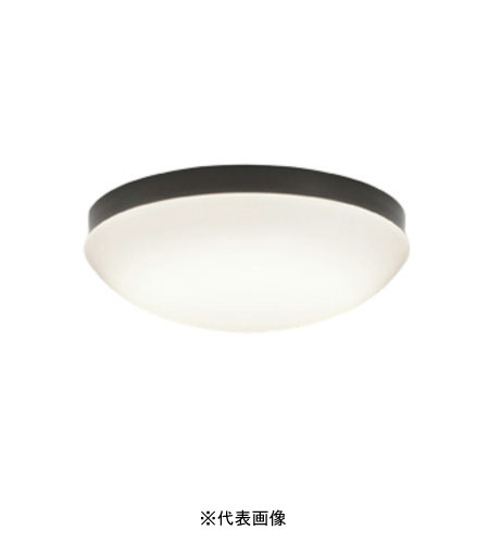 オーデリック OW269014LR 屋外用LED共用灯 防雨・防湿型  R15クラス2 FCL30W相当 電球色