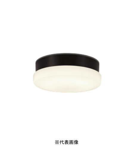 オーデリック OW269040LR 屋外用LED共用灯 防雨・防湿型  R15クラス2 FCL30W相当 電球色