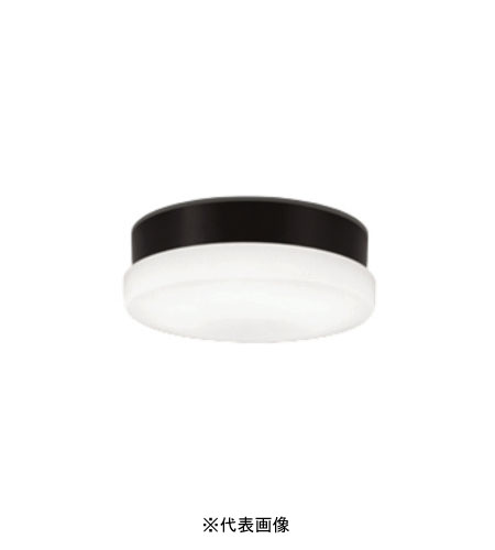 オーデリック OW269040NR 屋外用LED共用灯 防雨・防湿型  R15クラス2 FCL30W相当 昼白色