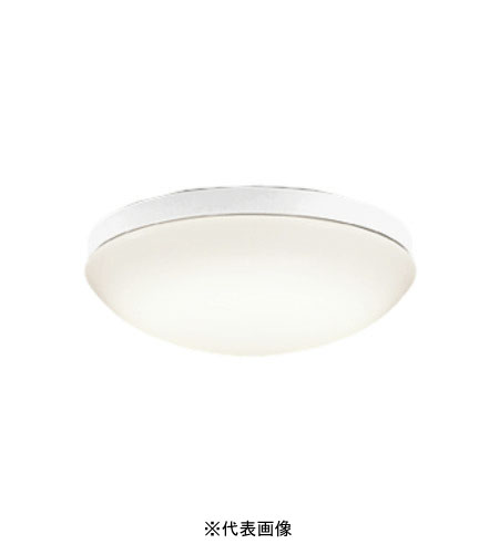 オーデリック OW269049LR 屋外用LED共用灯 防雨・防湿型  R15クラス2 FCL20W相当 電球色