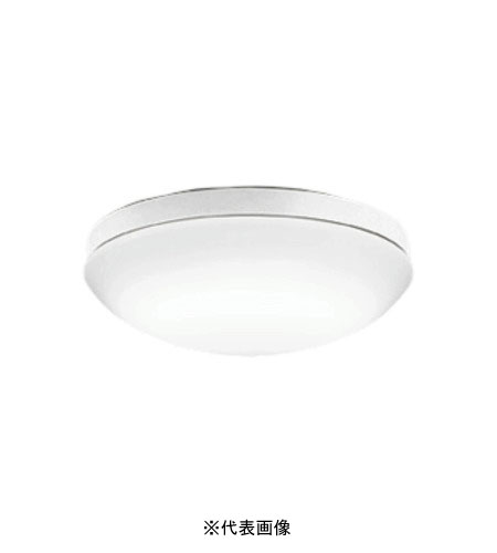 オーデリック OW269049NR 屋外用LED共用灯 防雨・防湿型  R15クラス2 FCL20W相当 昼白色