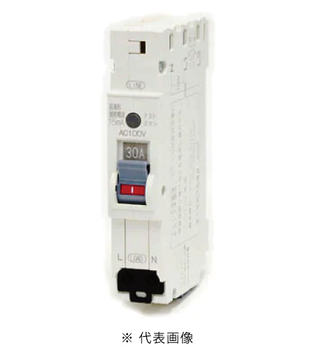 日東工業 PG31A 2P 30A F30 プチスリム漏電ブレーカ AC100V 定格感度電流F30mA
