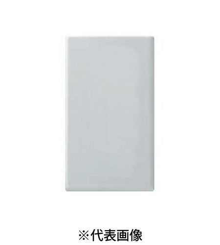 パナソニック WTC9291K 新金属カバープレート 2型 1連用 取付枠付