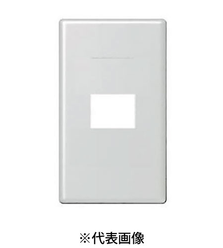 パナソニック WTF9201K 新金属コンセントプレート 2型 1コ用